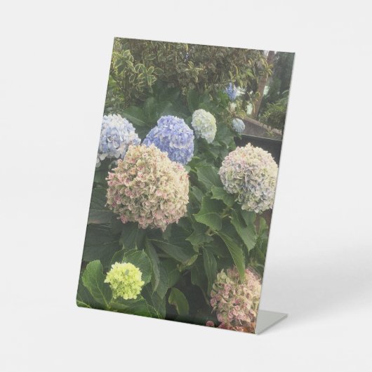 庭の花 台座サイン (正面)