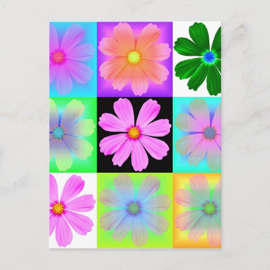 庭の花 – 9 – はがき (正面)