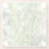 庭の若いシダの目覚め ガラスコースター (裏面)