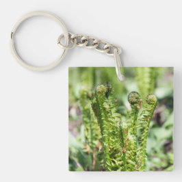 庭の若いシダの目覚め キーホルダー