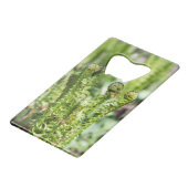 庭の若いシダの目覚め クレジットカード栓抜き (正面アングル)