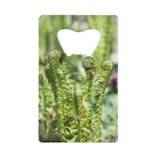 庭の若いシダの目覚め クレジットカード栓抜き (裏面)