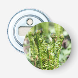 庭の若いシダの目覚め 栓抜き