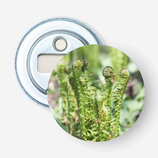 庭の若いシダの目覚め 栓抜き (正面)