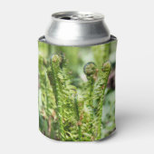 庭の若いシダの目覚め 缶クーラー (缶正面)