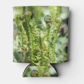 庭の若いシダの目覚め 缶クーラー (正面)