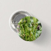 庭の若いシダの目覚め 缶バッジ (正面&裏面)