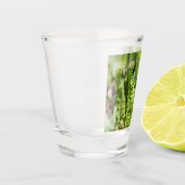 庭の若い新緑を目覚めさせる ショットグラス (左)