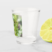 庭の若い新緑を目覚めさせる ショットグラス (右)