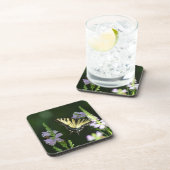 庭の蝶 コースター (右側)