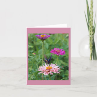 庭の蝶 シーズンカード