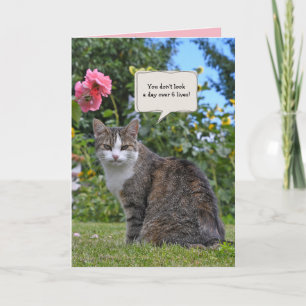 庭の誕生日にタビー猫 カード