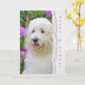 庭の誕生日のGoldendoodle犬 カード (黄色い花)