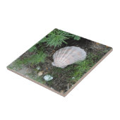 庭の貝殻 タイル (側面)