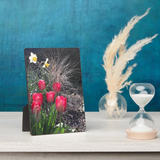 庭の赤いチューリップ フォトプラーク (側面)