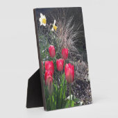 庭の赤いチューリップ フォトプラーク (側面)