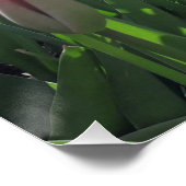 庭の赤いチューリップ ポスター (コーナー)