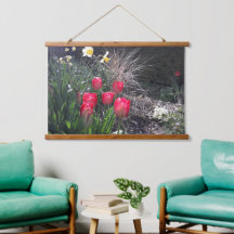 庭の赤いチューリップ