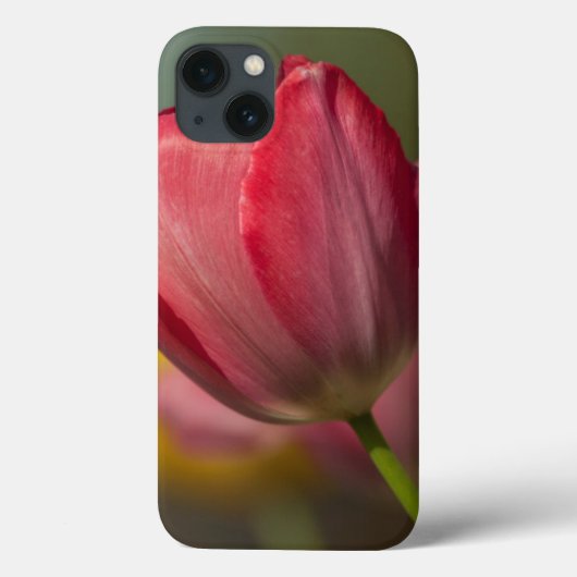 庭の赤と黄色のチューリップのクローズアップ Case-Mate iPhoneケース (裏面)