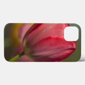 庭の赤と黄色のチューリップのクローズアップ Case-Mate iPhoneケース (裏面 (横))