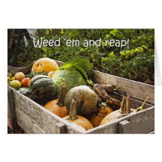 庭の野菜カード