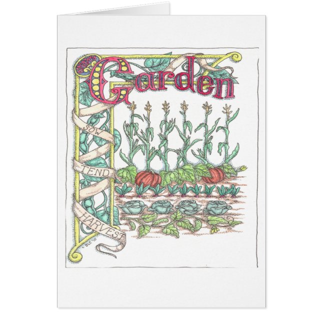 庭の野菜 (正面)