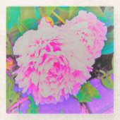 庭の電気ピンクの牡丹カラフルたち ガラスコースター (正面)