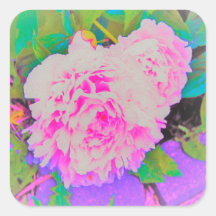 庭の電気ピンクの牡丹カラフルたち