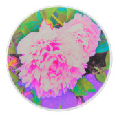 庭の電気ピンクの牡丹カラフルたち セラミックノブ (正面)