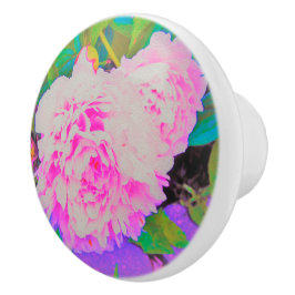 庭の電気ピンクの牡丹カラフルたち セラミックノブ