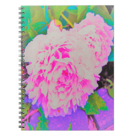 庭の電気ピンクの牡丹カラフルたち ノートブック