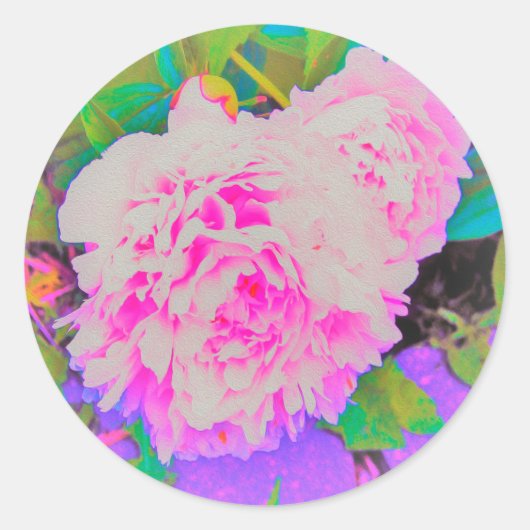 庭の電気ピンクの牡丹カラフルたち ラウンドシール (正面)