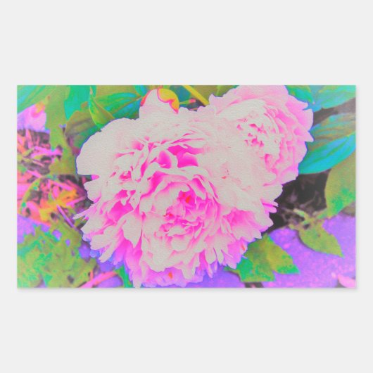 庭の電気ピンクの牡丹カラフルたち 長方形シール (正面)
