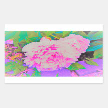 庭の電気ピンクの牡丹カラフルたち