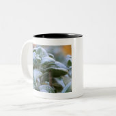 庭の霜の降りた植物 ツートーンマグカップ (正面左)