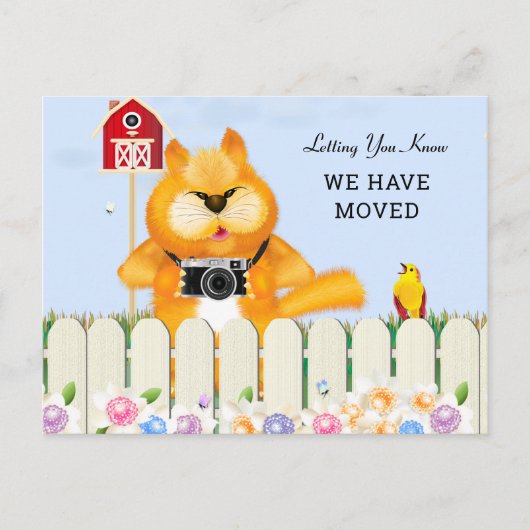 庭の鳥と猫|住所の変更 ポストカード (正面)