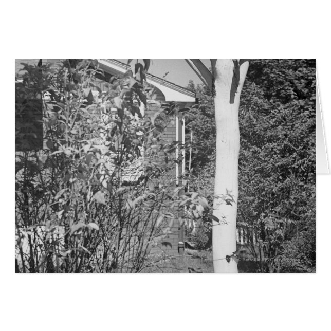 庭の鳥の家 (正面横)