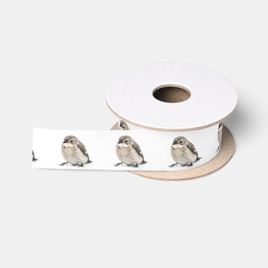 庭の鳥 サテンリボン (リール)