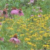 庭の黄色と紫の花 シール (正面)