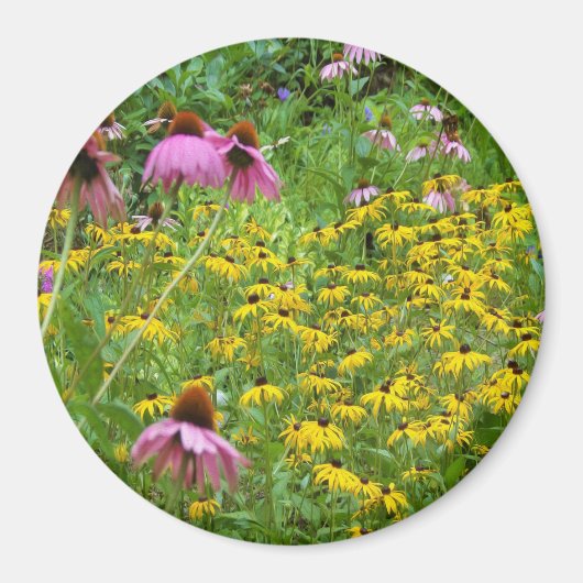 庭の黄色と紫の花 マグネット (正面)