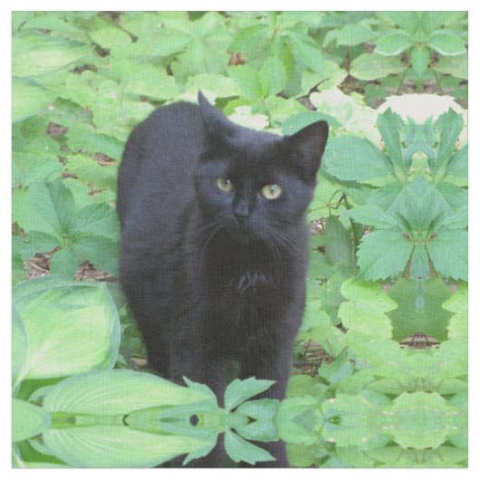 庭の黒い子ネコ猫 ファブリック (クローズアップ)