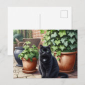 庭の黒猫 ネコ好きさんへ ポストカード (正面/裏面)