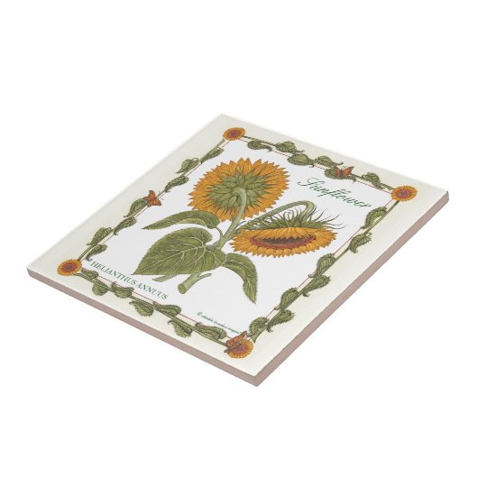 庭の~のヒマワリのタイル タイル (側面)