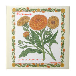 庭の~のCalendulaのタイル タイル