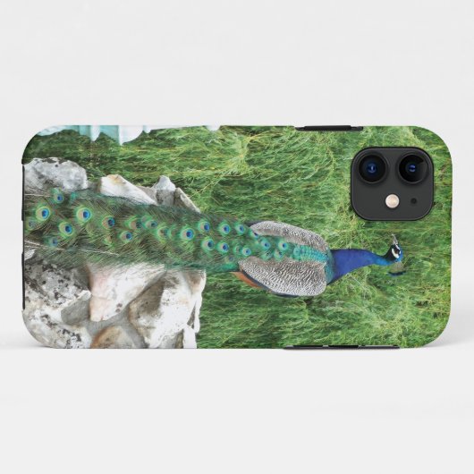 庭のiPhone SEの箱の孔雀 Case-Mate iPhoneケース (裏面(横))