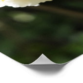 庭のJasminの花 ポスター (角)