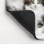 庭のmousepadの子ネコ マウスパッド (コーナー)