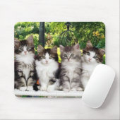 庭のmousepadの子ネコ マウスパッド (マウス)