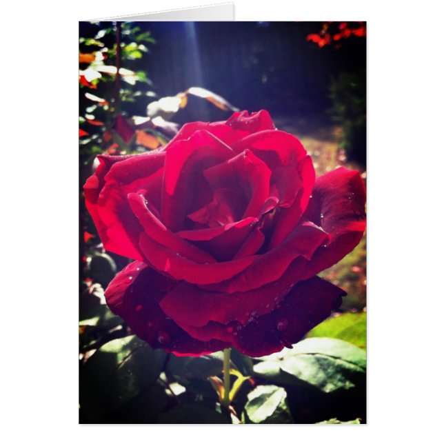 庭は上がりました (正面)