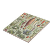 庭へのフランスのなガイド タイル (側面)